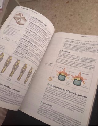 Libro de farmacia, anatomia y patologia basica