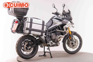 TRIUMPH TIGER 900 RALLY