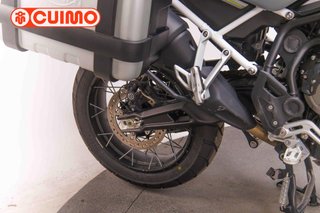 TRIUMPH TIGER 900 RALLY