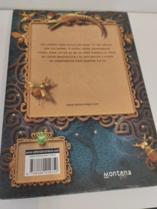 El ladrón mago