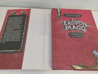 El ladrón mago