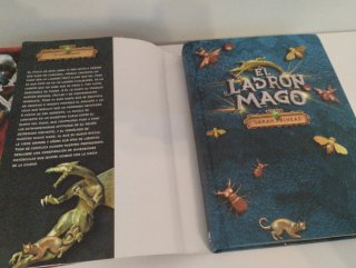 El ladrón mago