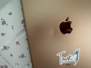 Funda iPad Air 3 Oro Rosa Floral