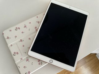 Funda iPad Air 3 Oro Rosa Floral