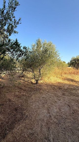 Terreno en venta en Cocentaina