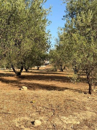 Terreno en venta en Cocentaina