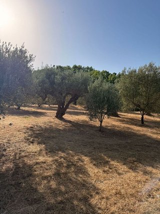 Terreno en venta en Cocentaina
