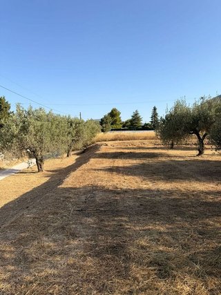 Terreno en venta en Cocentaina