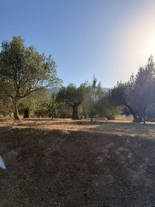 Terreno en venta en Cocentaina