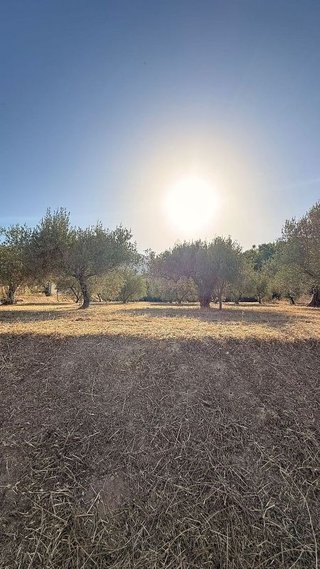 Terreno en venta en Cocentaina