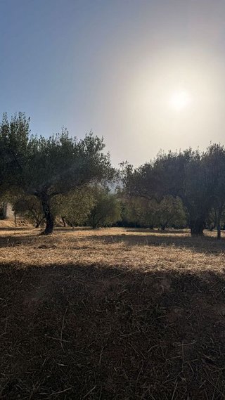 Terreno en venta en Cocentaina