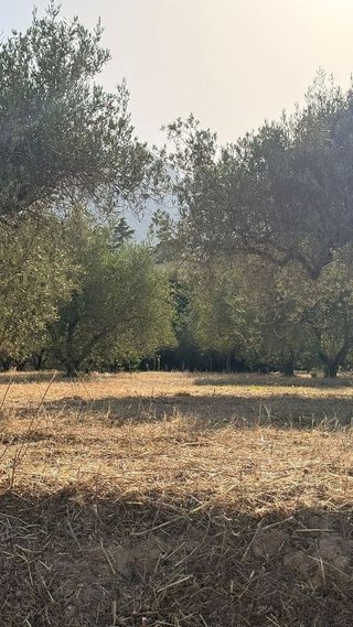 Terreno en venta en Cocentaina