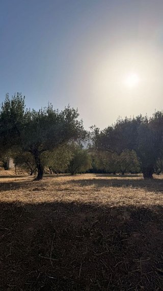 Terreno en venta en Cocentaina