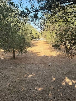 Terreno en venta en Cocentaina