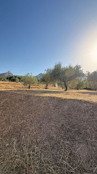 Terreno en venta en Cocentaina