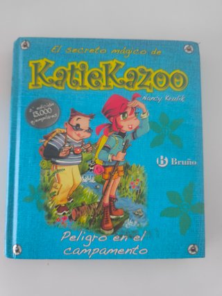 Peligro en el campamento