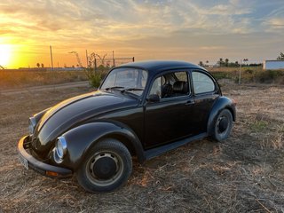 Volkswagen Beetle 1980
