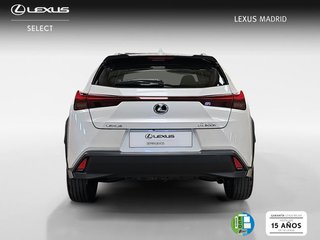 Lexus UX 2.0 300h UX Plus