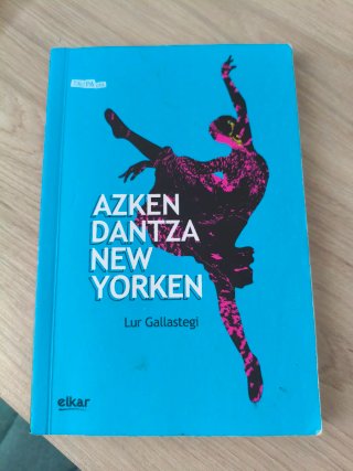 Libro de lectura en euskera