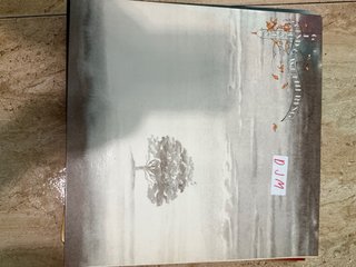 Lote Vinilos Internacional desde 5 eur