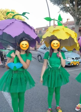 Disfraz Hada Bosque Comparsa o carnaval
