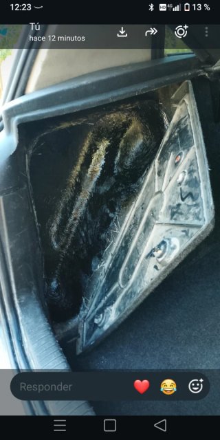 Cajón Subwoofer Golf IV