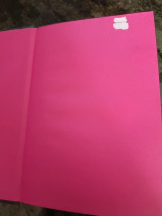 Isadora Moon y la noche mágica