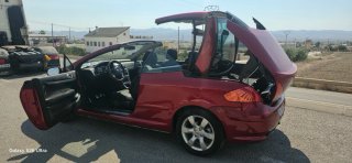 Peugeot 307 2007