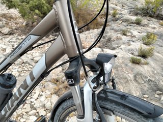 Bicicleta de paseo Giant Argento