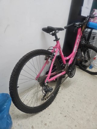 Bicicleta rosa niña