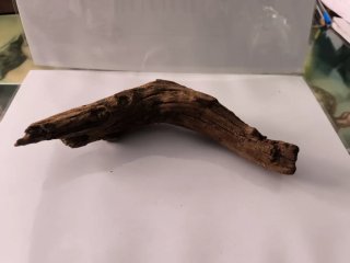 Tronco decorativo para acuario