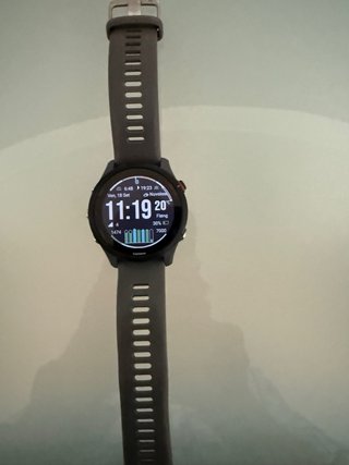 Garmin Forerunner 255 Grigio