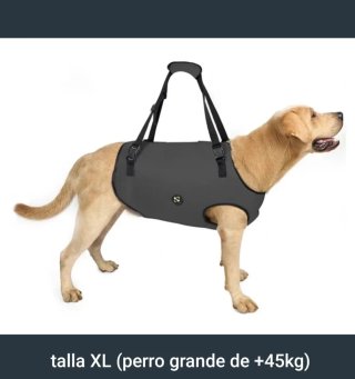 Arnés de elevación perro