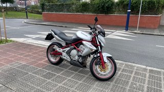 Kawasaki ER-6n Naked Plata y Rojo