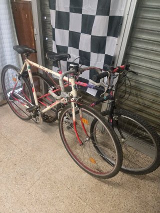 Lote 2 Bicicletas Bianchi Clásicas