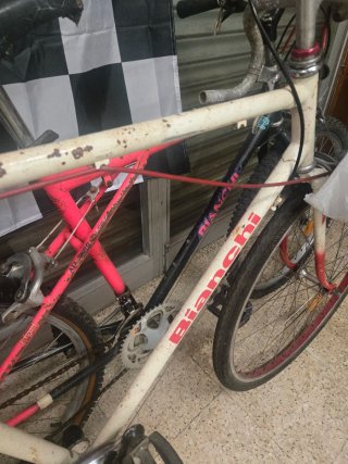 Lote 2 Bicicletas Bianchi Clásicas