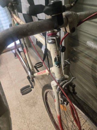 Lote 2 Bicicletas Bianchi Clásicas