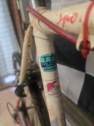 Lote 2 Bicicletas Bianchi Clásicas