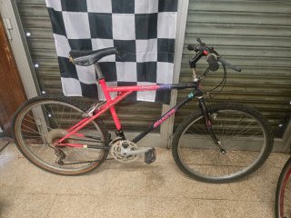 Lote 2 Bicicletas Bianchi Clásicas