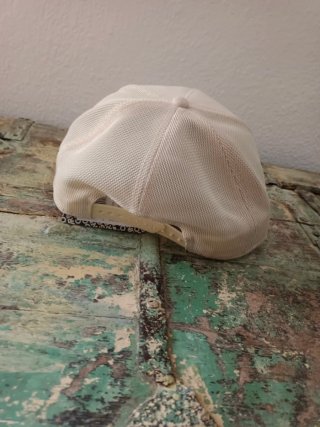 Gorra Goorin Bros Cancelled Calavera