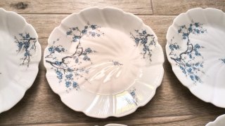 6 PIATTI PIANI Sagomati FIORI BLU Porcellana
