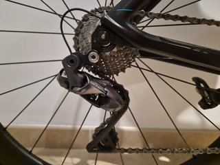 Canyon Speedmax WMN CF 8.0 Di2 2019