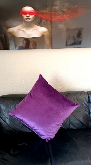 2 Cojines Grandes Terciopelo Morado 50x50 cm