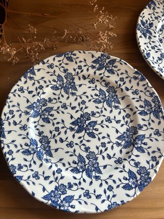 Platos llanos loza inglesa Royal Tudor