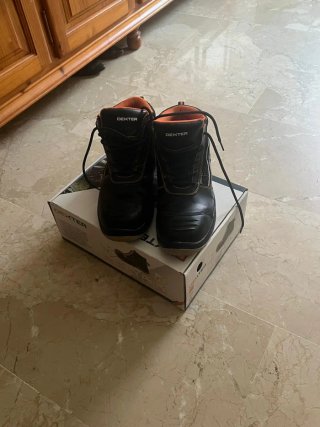 Zapatos de seguridad DEXTER Talla 42 S3S