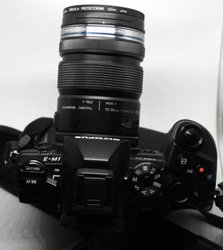 Olympus OM-D E-M1 + Lente 12-50mm Macro