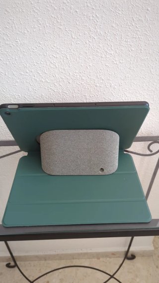 Altavoz Google Pixel Tablet Gris