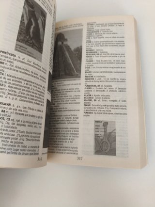 Diccionario Ilustrado Castellano  Sinónimos Cóndor