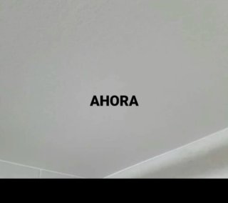 PINTOR PROFESIONAL  TLF 610340143
