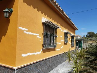 PINTOR PROFESIONAL  TLF 610340143